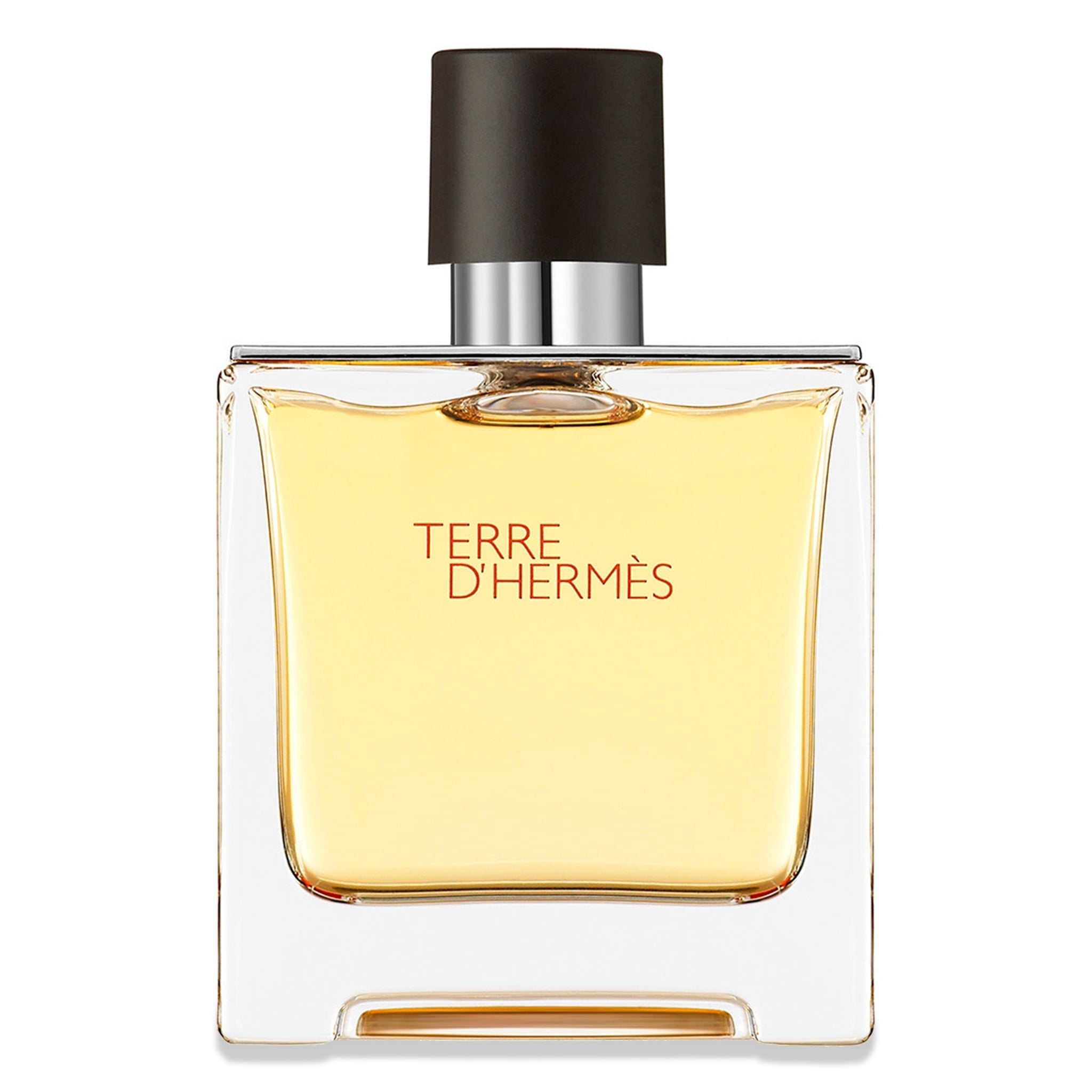 Hermès Paris Terre D'Hermès Eau De Parfum 100ml